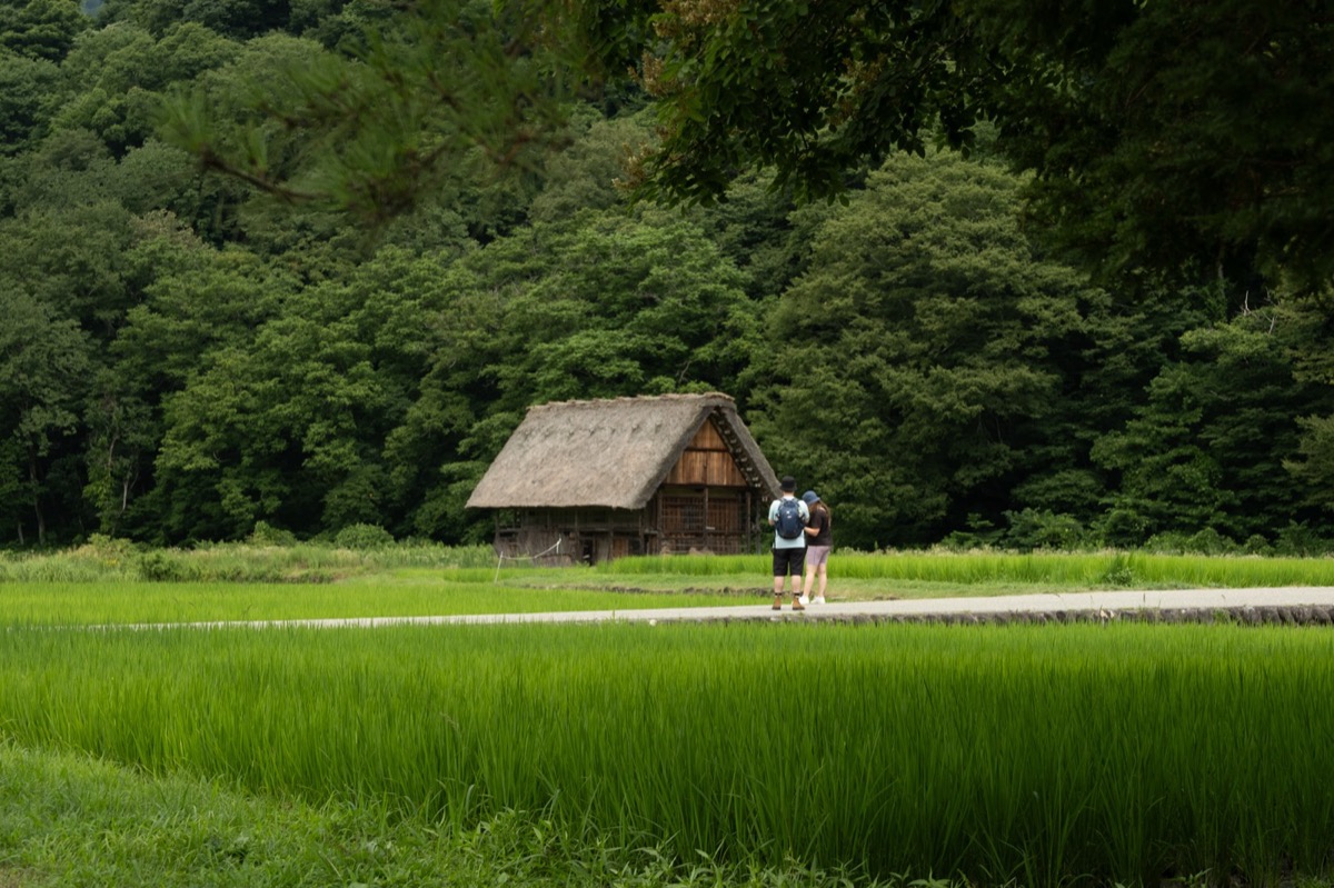 稻田旁的合掌屋與兩位旅人